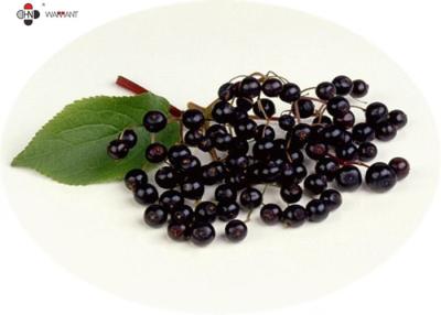 China GMP Anti Aging Water Soluble Pure Elderberry Extract for sale