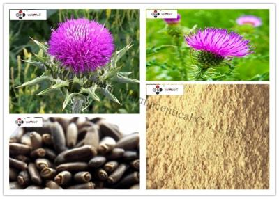 China Antioxidant Brown Yellow Powder Milk Thistle Extract for sale