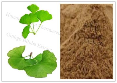 Chine CAS 90045 extrait de Ginkgo Biloba fin Egb 761 de la poudre 36 6 à vendre