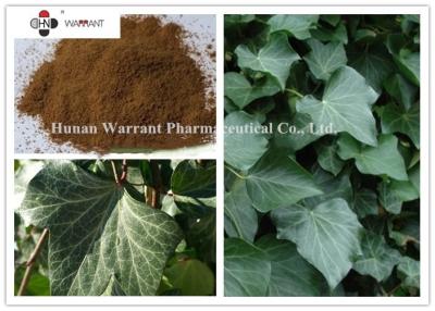 China Ivy Leaf Extract （Hedera helix) 10% Hederacoside C  Brown Yellow Powder  GMP nature International registration for sale