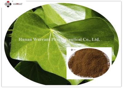 China Hedera helix 20% Hederagenin  CAS 14216 03 6 Ivy Leaf Extract For Dry Cough Korea Registration license for sale