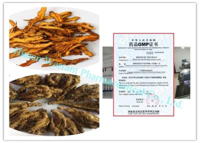 中国 高い純度CAS 633 65 8 Rhizoma Coptidisのエキス 販売のため