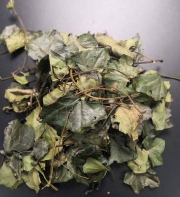 China Ivy Leaf Extract (Hedera helix)15% Hederacoside C（HPLC） GMP  powder  European raw material Korea Registration for sale