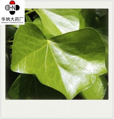 China Hedera helix 10:1 TLC Ivy Leaf Extract Cosmetic Grade With Promoting Blood Circulation Korea Registration license for sale