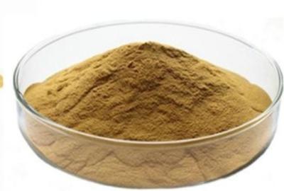 China Hedera helix 14216-03-6 Ivy Leaf Dry Extract Powder with Hederacosides Ingredient Korea Registration license for sale