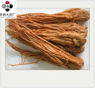 China 50% UV Angelica Root Extract Powder Food Grade Solvent Extraction for sale