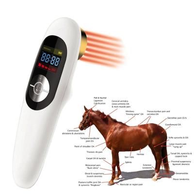 China 650NM AND 808NM Laser Equine Veterinary Equipment Laser Therapy Medical Device for Horses Arthritis Pain Relief Injury Healing for sale