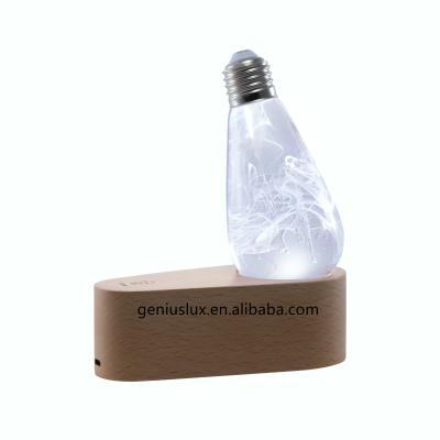 China Residential LED Globe Fairy Light Bulb With Standard Medium Base E26 Edison Atmosphere LED Night Light for sale