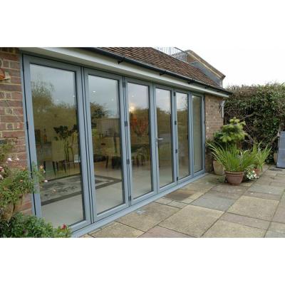 China Modern Hot Selling Double Fold Door Aluminum Accordion Glass Insulated Low-E Glass Folding Doors for sale