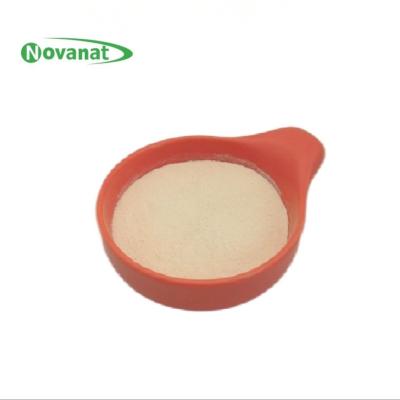 China Bifidobacterium animalis subsp. lactis BI516 Postbiotics Powder Tyndallized Vegan for sale