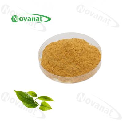 China 98% Tea Polyphenols Green Tea Extract Powder 50% EGCG Decaffeinated for sale