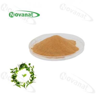 China 100% Natural Green Tea Extract L-Theanine Powder 20% 30% 40% for sale