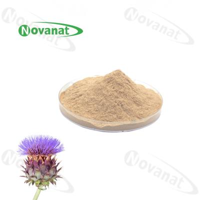 China Natural Plant Extract Silymarin 80%/Water soluble /Clean Label for sale