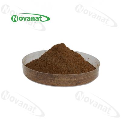 China Cordyceps Extract Polysaccharides 20%-40% / Cordyceps Sinensis Extract Cs-4 / Clean Label for sale