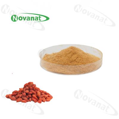 China Water Soluble lycium berry Extract Powder 20% - 50% Polysaccharides / Clean Label for sale