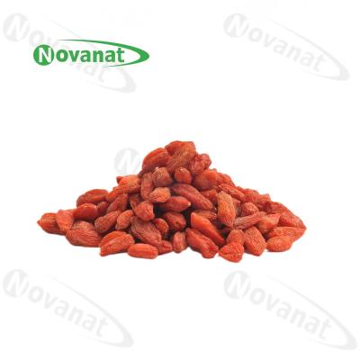 China Red Organic Dried Herbs Dry Goji Berry Wolfberry Lycium / Clean Label for sale