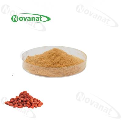 China Organischer Goji Berry Extract Powder 20% - 50% Polysaccharide/wasserlöslicher/sauberer Aufkleber zu verkaufen