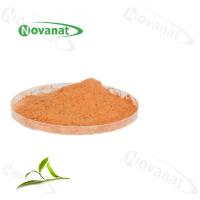 China Organic Green Tea Extract Powder 60% Polyphenols / 40% EGCG /Decaffeinated / Clean Label for sale