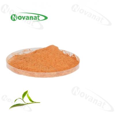 China Organic Green Tea Extract Powder 60% Polyphenols / 40% EGCG /Decaffeinated / Clean Label for sale