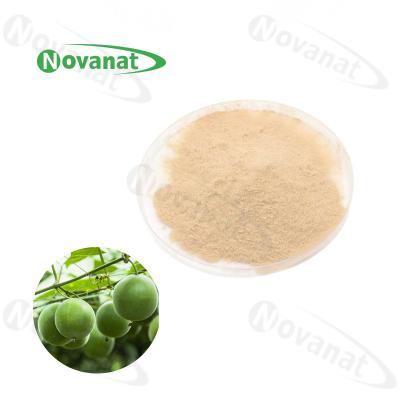 Chine Moine soluble dans l'eau Fruit Extract Powder 25% Mogroside V/édulcorant naturel/label propre à vendre