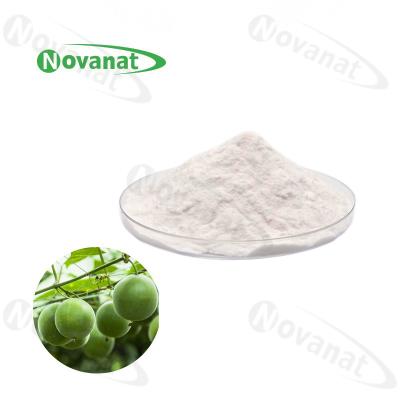 China Monk Fruit Extract Powder 50% Mogroside V/Solúvel em Água/Adoçante Natural/Rótulo Limpo à venda