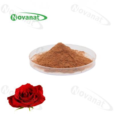 China Rose Flower Extract Powder 4/120% And 25% Polyphenols/Food Beverage for sale