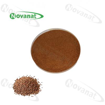 China Semen Raphani Extract Herbal Extract Powder 0.8-1.2% Sinapine / USP / EP / CP for sale