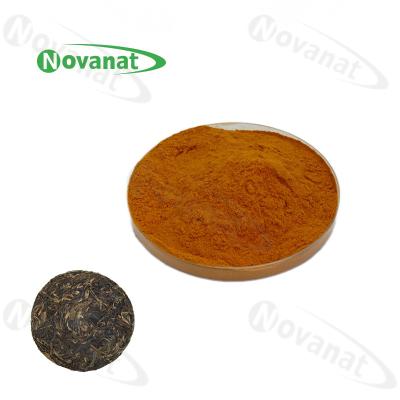 China Good Water Soluble Instant Tea Extract Powder Pu Er Tea Powder 20% Polyphenols for sale