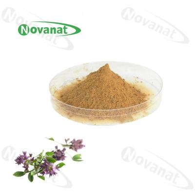 China 100% Natural Alfalfa Extract 5% Saponins / Clean Label for sale