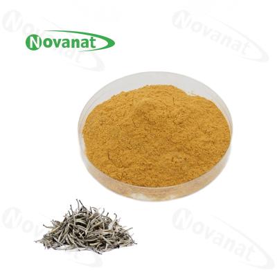 China White Instant Tea Extract Powder 40% Polyphenols / Food Beverage for sale