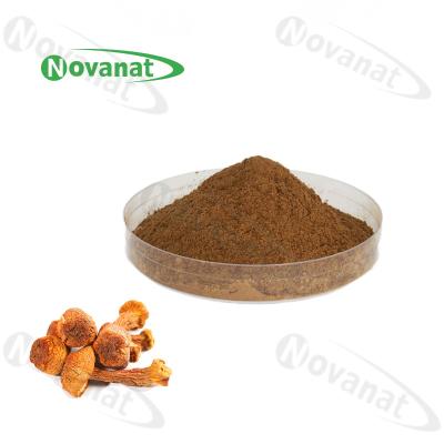 China agaricus blazei extract Herbal Extract Powder 40% Polysaccharides for sale