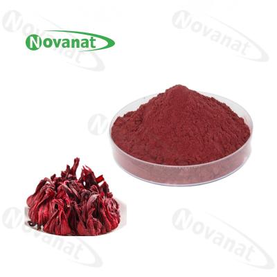 China Roselle Extract Powder / Hibiscus Flower Extract Rich In Vitamin C / Pure Flavor / Clean Label for sale