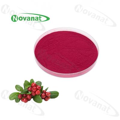 China Cranberry Concentrated Fruit Vegetable Powder / Pure flavor / Water Soluble / Clean Label for sale