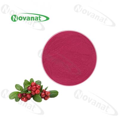 China Cranberry Extract Powder Herbal Extract Powder 1%-25% Anthocyanins for sale