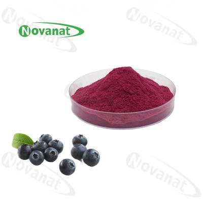 China Blueberry Concentrated Fruit Vegetable Powder Pure Flavor / Water Soluble / Clean Label for sale