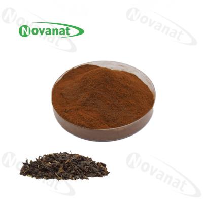 China Water Soluble Instant Tea Extract Powder 15%-35% Polyphenols / Clean Label for sale