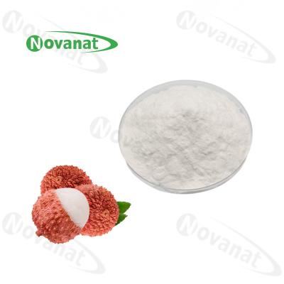 China Lychee Powder Fruit Vegetable Powder Pure Flavor / Water Soluble / Clean Label for sale