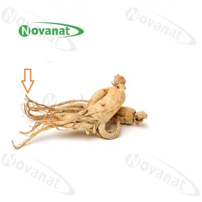 China Ginseng Rootlets Organic Dried Herbs / Food Supplement for sale