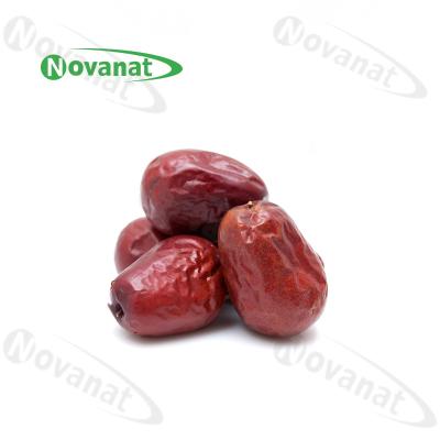 China Food Grade Organic Dried Herbs Chinese Red Dates Jujubes / Rich In Vitamin Organic Acids for sale