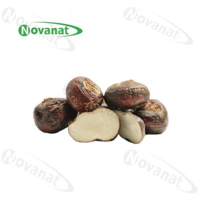 China Freeze Dried Water Chestnut ( Skin-On ) / Food Beverage / Clean Label for sale