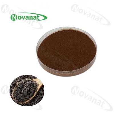 China Dark Tea Instant Tea Extract Powder 15% -30% Polyphenols / Clean label for sale