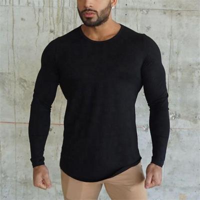 China Breathable Plain Color Long Sleeve Fitness Gym Shirt Men Winter Slim Fit 100% T-Shirt Cotton for sale