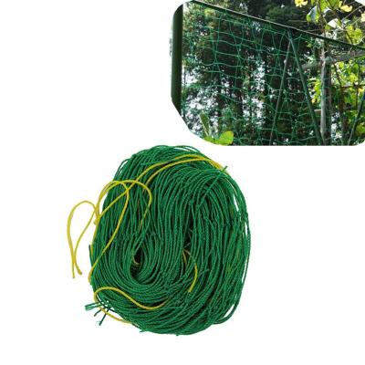 China Plant Protective Plastic Biodegradable Wire Mesh Rolls Gardening Mesh Hole 6x6 Trellis Netting For Amazon Sellers for sale