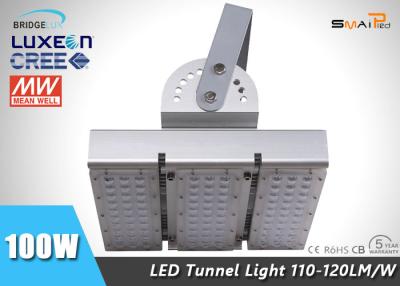 China High Luminous IP65 100 Watt Outdoor LED Tunnel Lamp Approved ROHS for sale