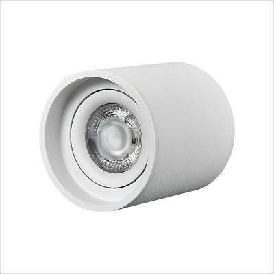 China Modern cylindrical 5W 10W led downlights for hotel office building, living room surface mounted downlight for sale