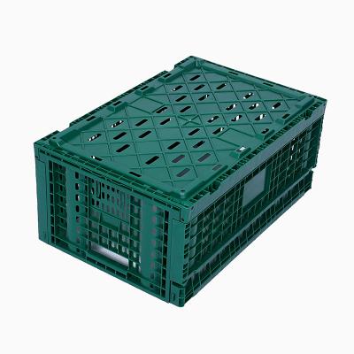 China Easy To Carry Factory Direct Portable Folding Stackable Plastic Crates for sale