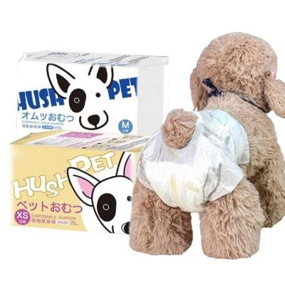 China Eusable Sustainable Female Pet Training Disposable Dog Pants Suit Male Panty Diaper , Disposable Gel Diaper For Dog for sale