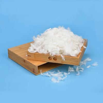 China Wholesale goose feather washed 2-4cm white goose down feather RDS certificated from factory for sale