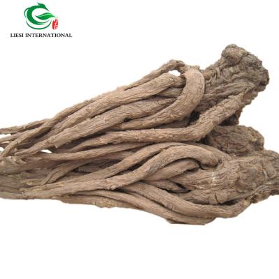 China Angelica panax notoginseng dry original bulk angelica root for sale