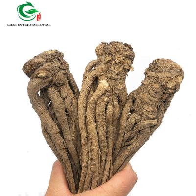 China Dry Angelica Sinensis Powder Dried Angelica Root Powder for sale